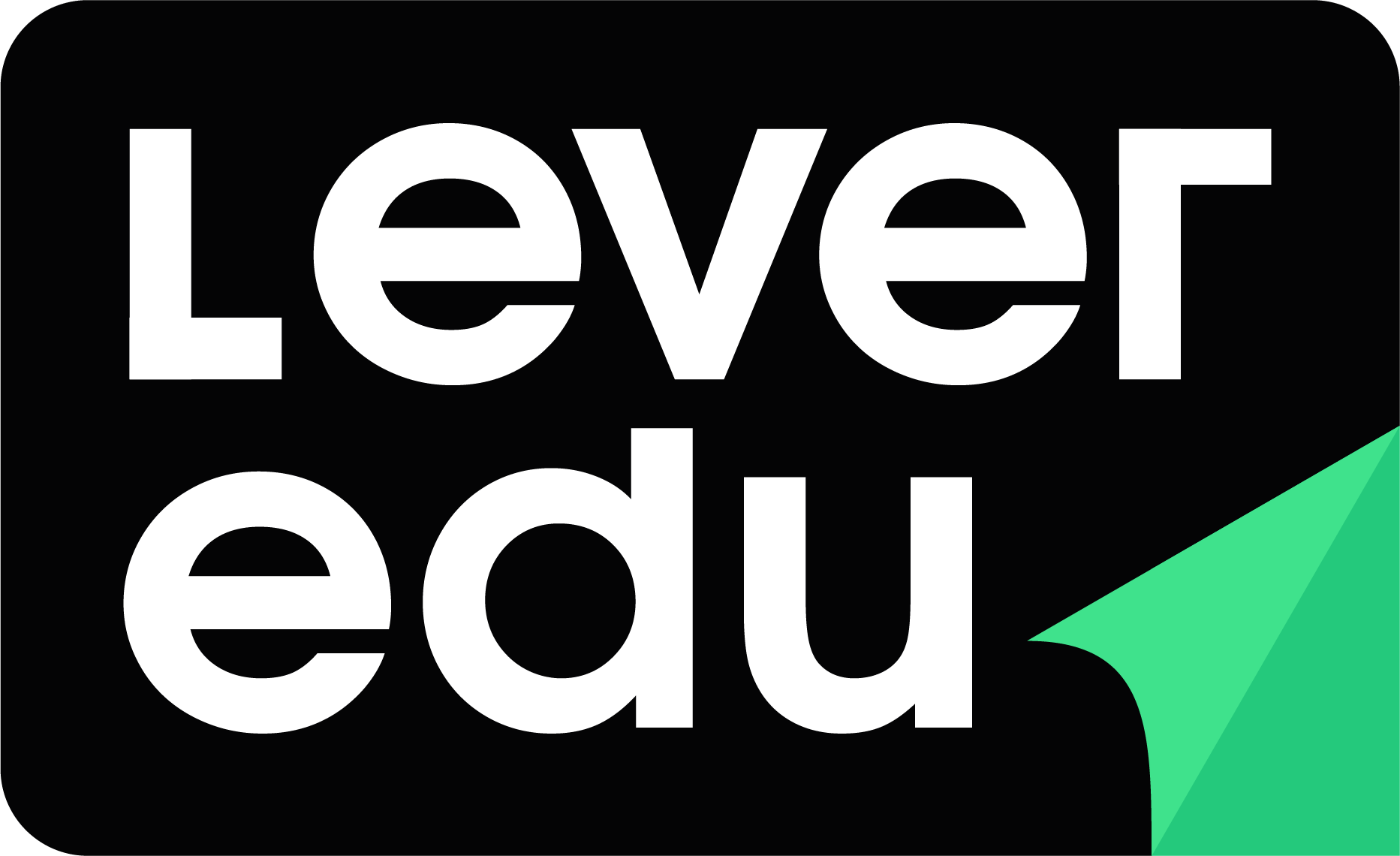 LEVER logo